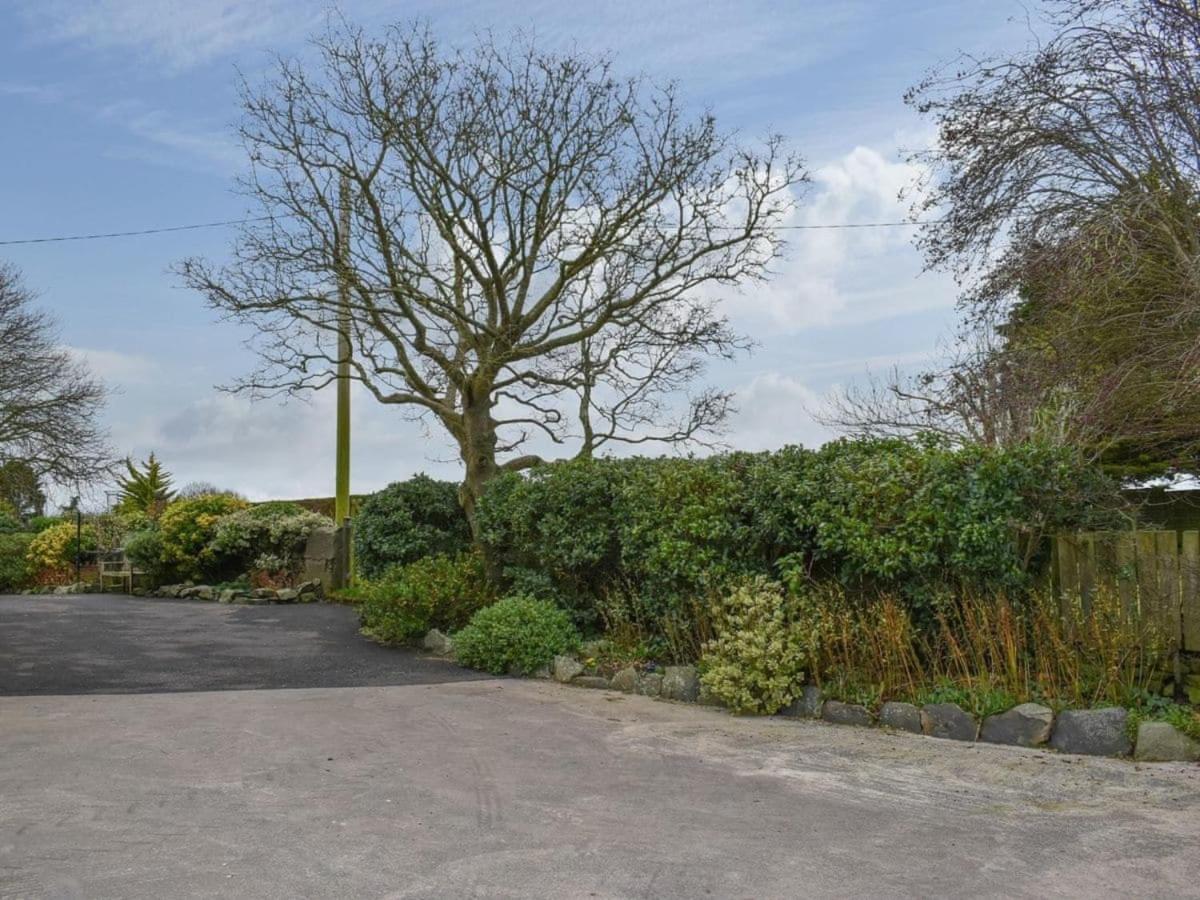 Rose Captivating 1-bed In * Bangor (Down)